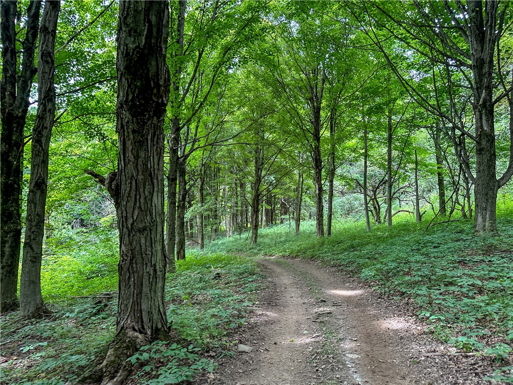 2920 Buffalo Road Orangeville, NY 14167 - Photo 45 of 50