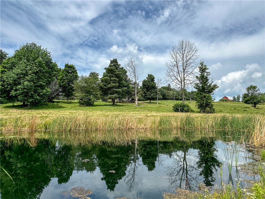 2920 Buffalo Road Orangeville, NY 14167 - Photo 5 of 50