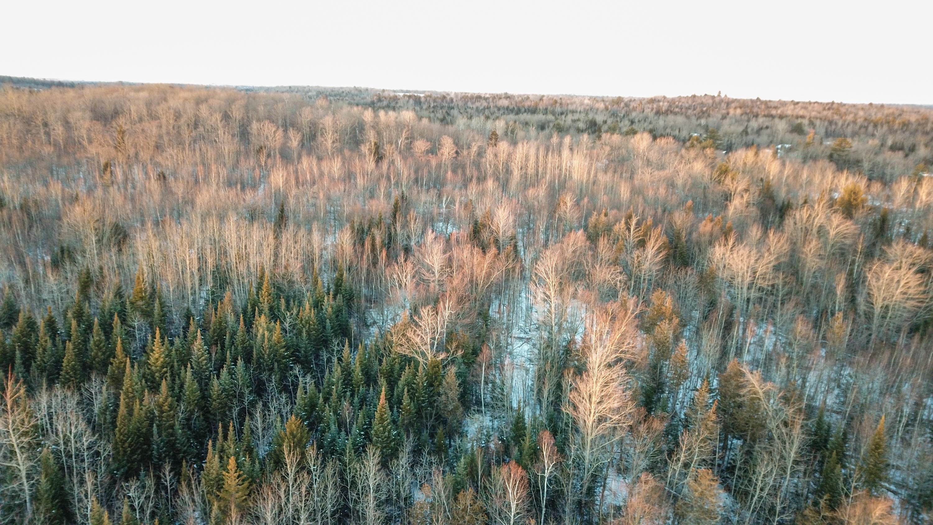 Lot 19 Middle Road Bradford, ME 04410 - Photo 8 of 25 Secluded Area