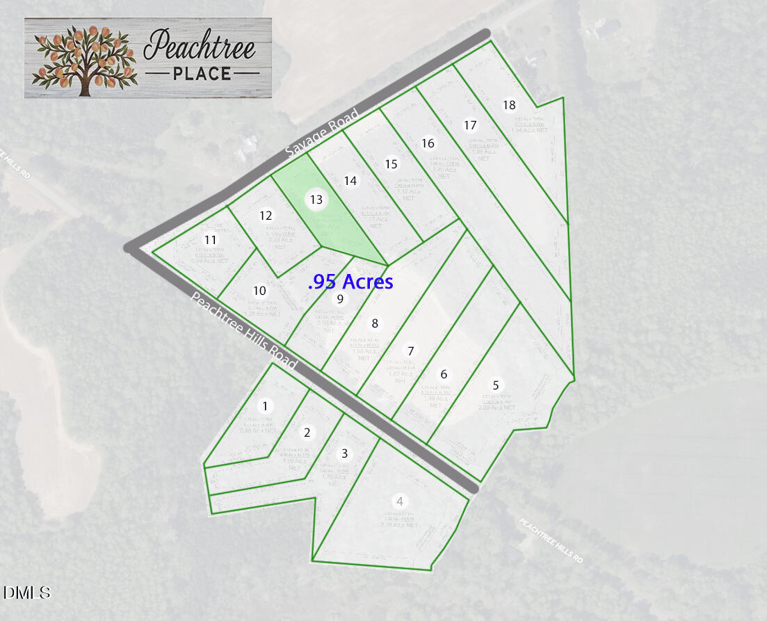 8625 Savage Road Spring Hope, NC 27882 - Photo 11 of 11 map