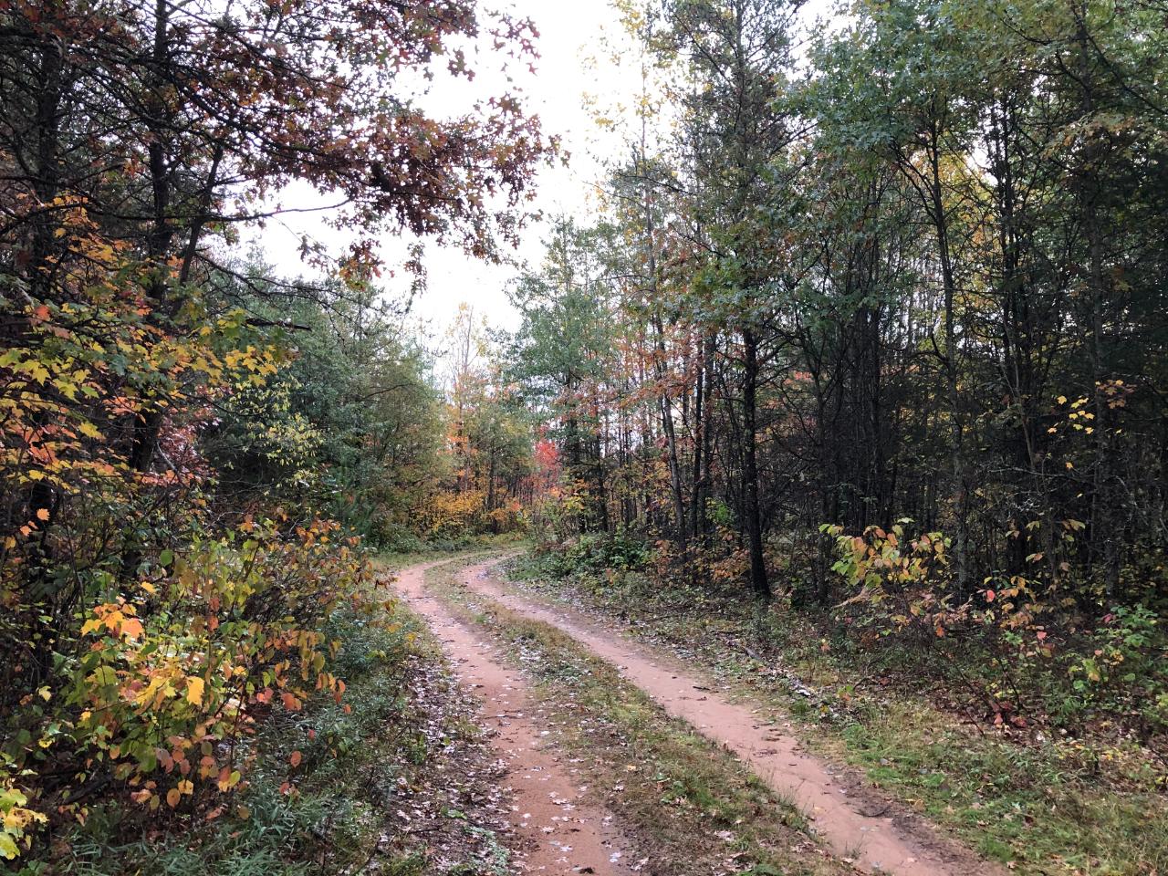 Nine Camp 9 Road Minocqua, WI 54548 - Photo 14 of 39 Gallery Image 14