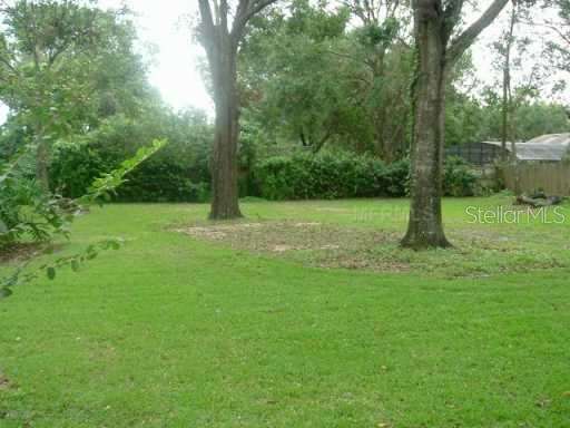Yard/Garden