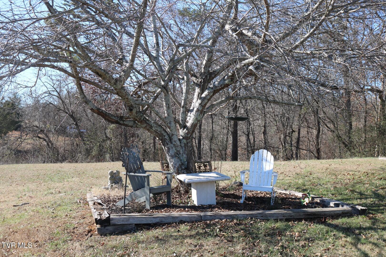 1800 Main Street Mosheim, TN 37818 - Photo 25 of 33 IMG_7887