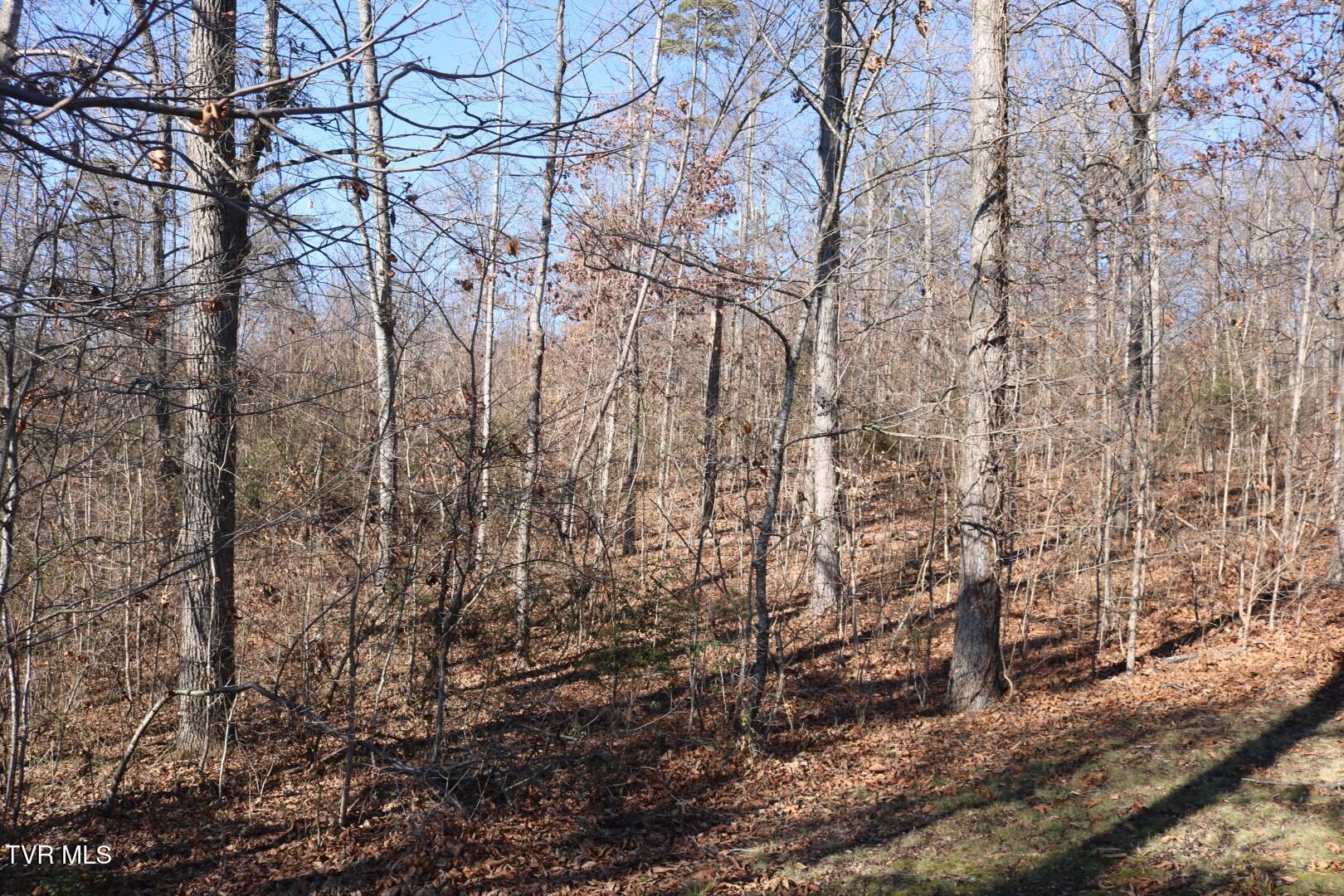 1800 Main Street Mosheim, TN 37818 - Photo 28 of 33 IMG_7891