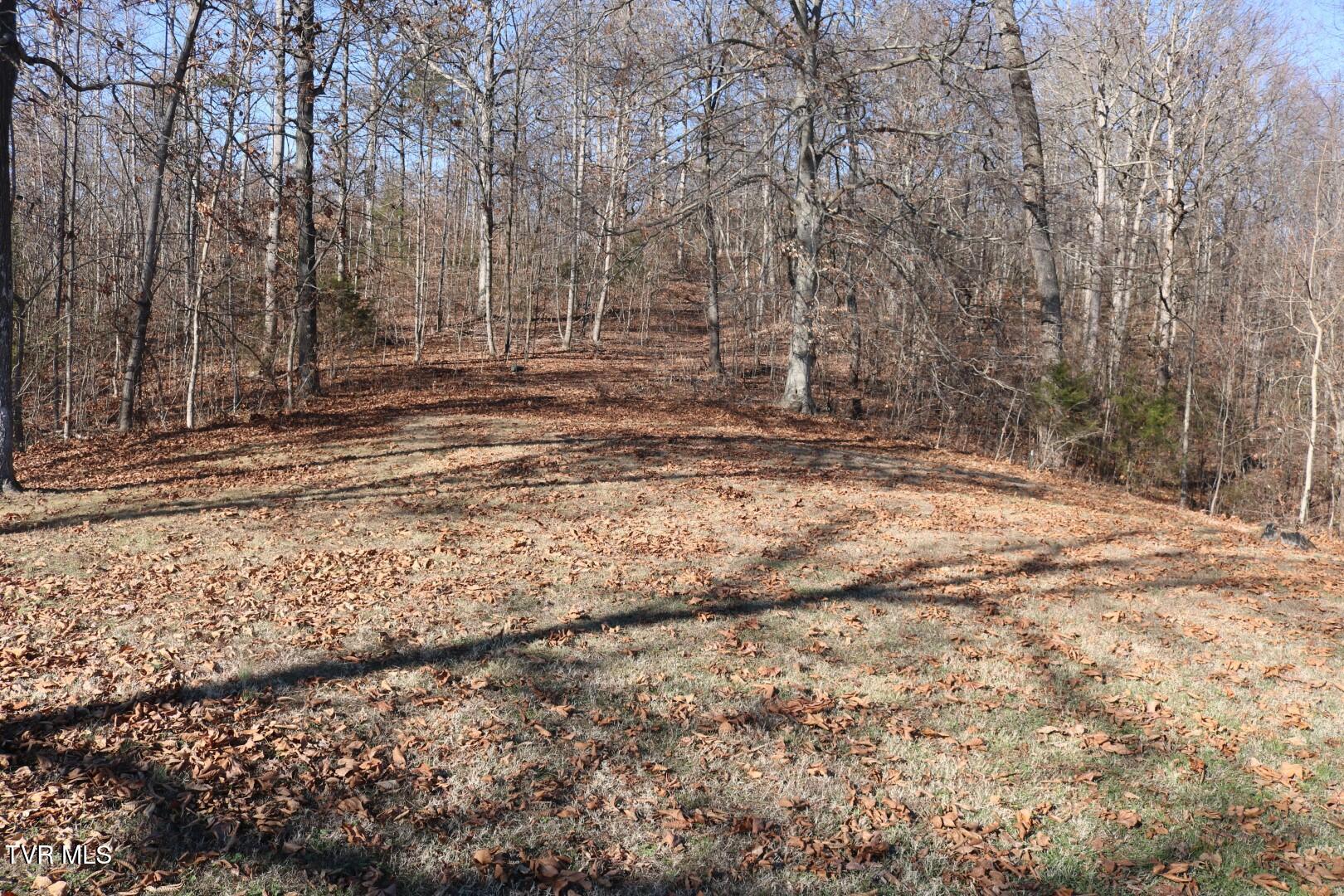 1800 Main Street Mosheim, TN 37818 - Photo 30 of 33 IMG_7902