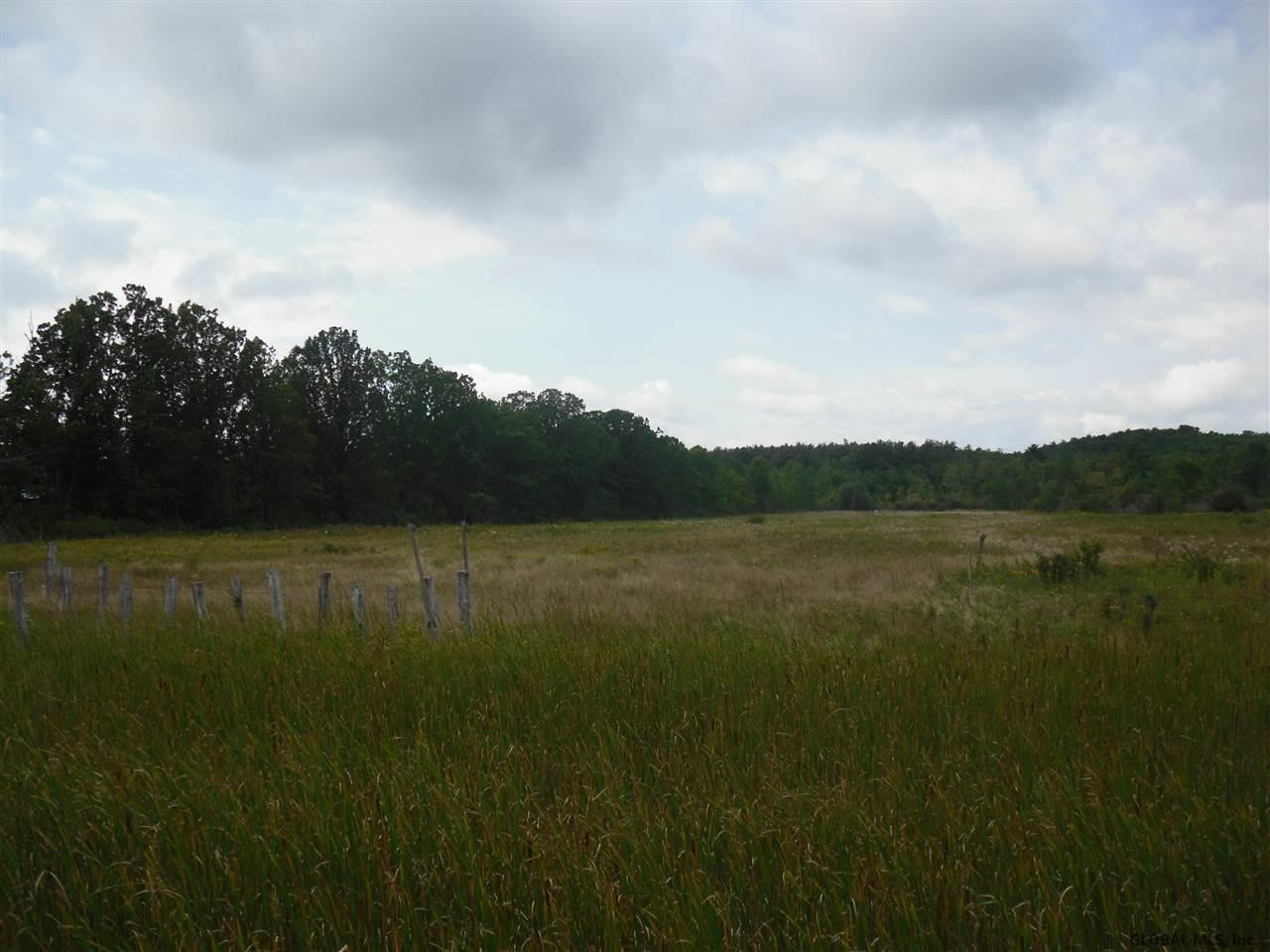 0 Beebe Road Berne, NY 12023 - Photo 1 of 15 Photo 1