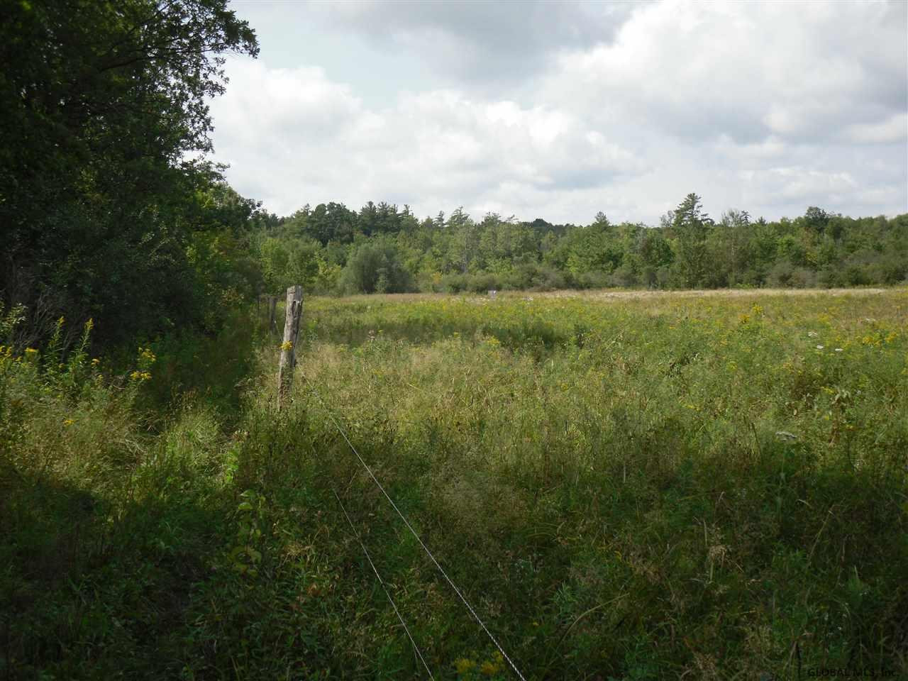0 Beebe Road Berne, NY 12023 - Photo 12 of 15 Photo 12