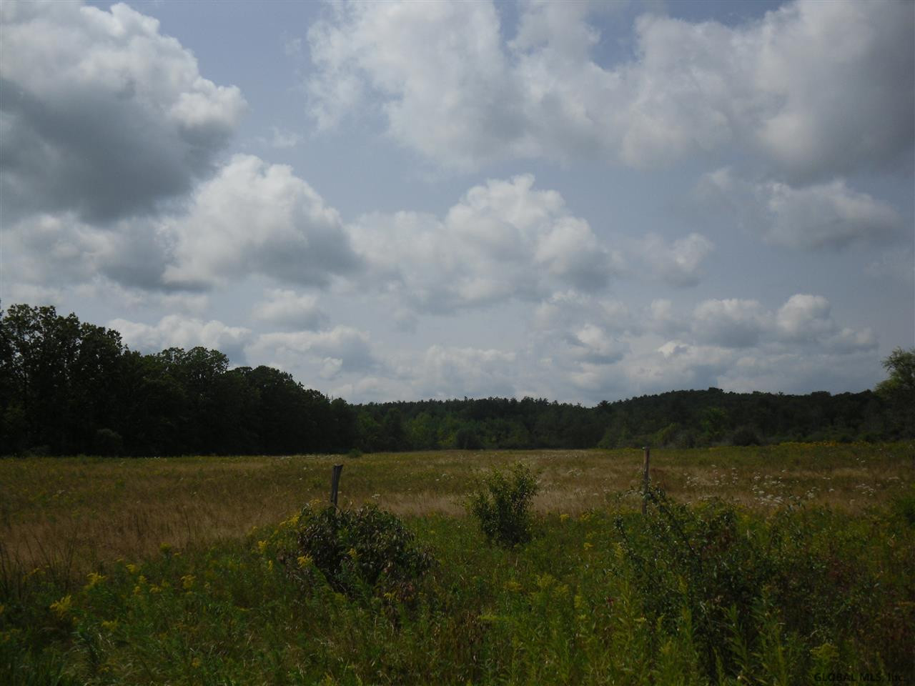 0 Beebe Road Berne, NY 12023 - Photo 13 of 15 Photo 13