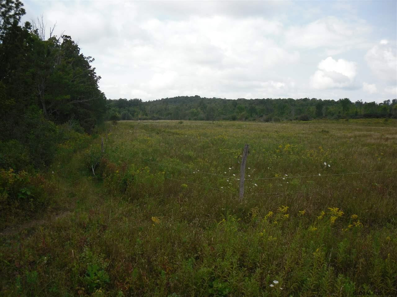 0 Beebe Road Berne, NY 12023 - Photo 2 of 15 Photo 2