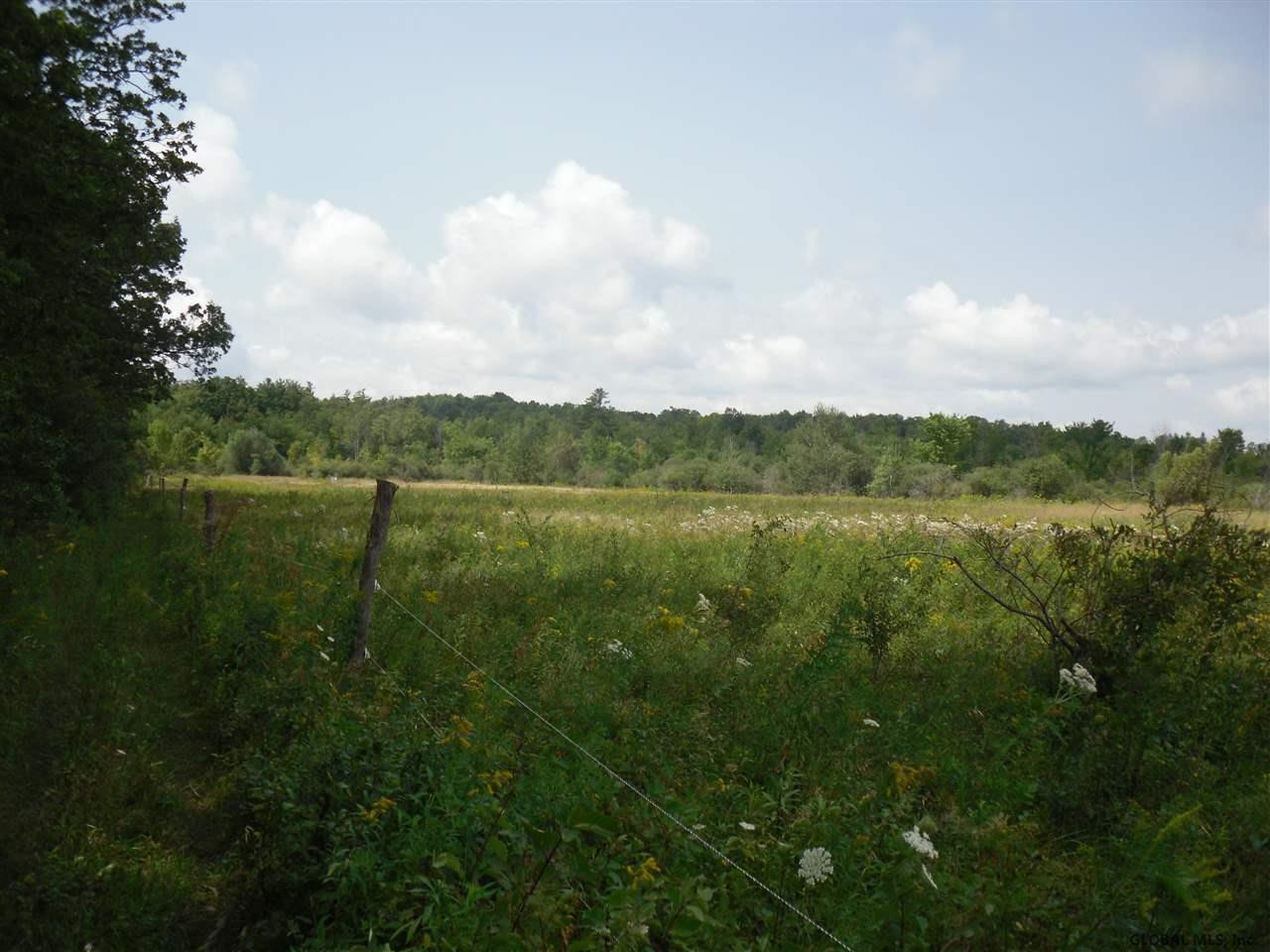0 Beebe Road Berne, NY 12023 - Photo 3 of 15 Photo 3