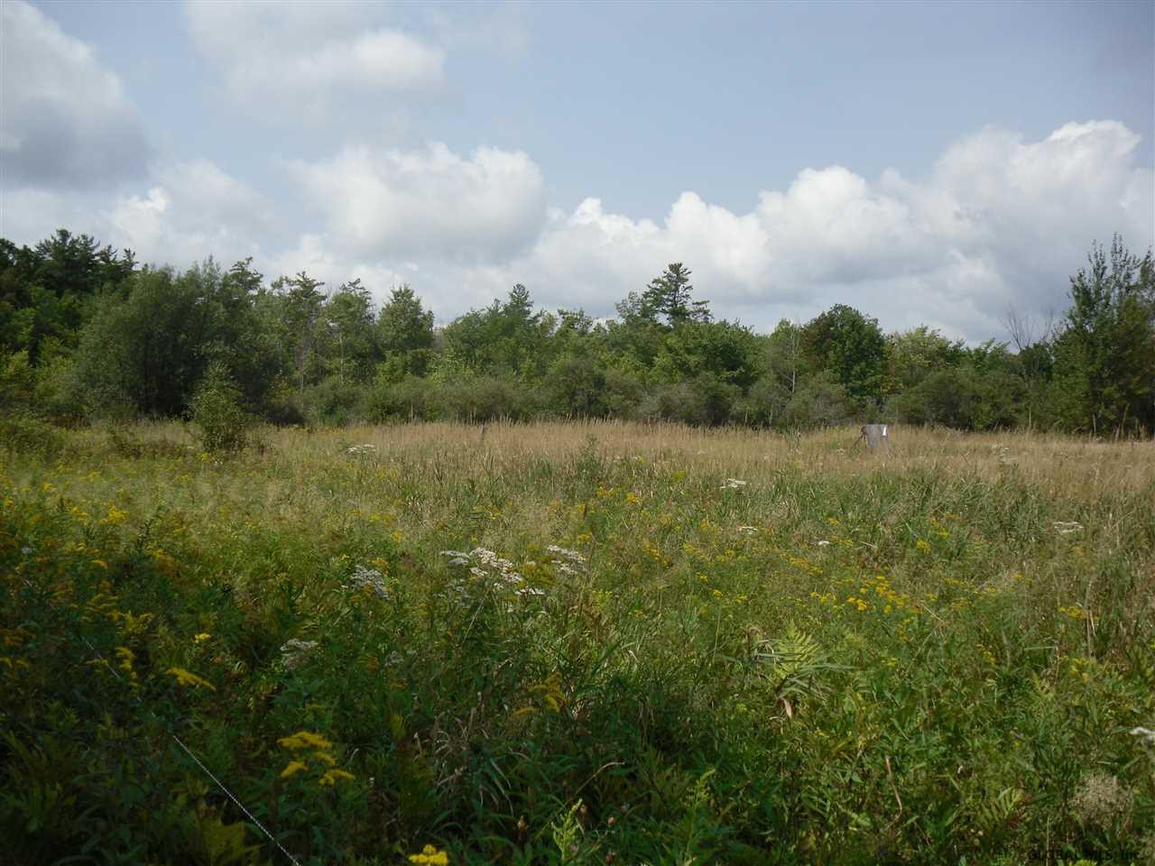 0 Beebe Road Berne, NY 12023 - Photo 5 of 15 Photo 5