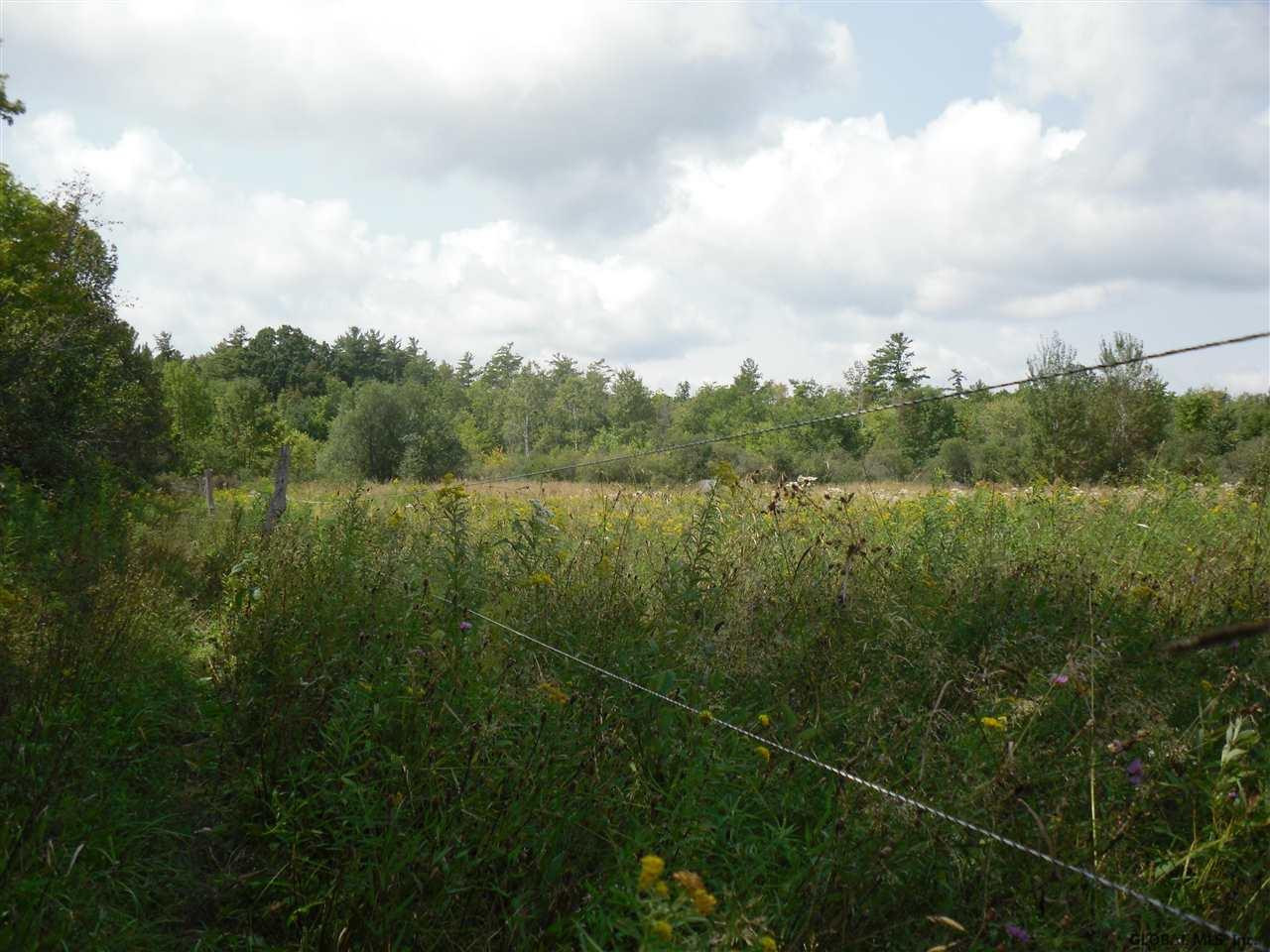 0 Beebe Road Berne, NY 12023 - Photo 10 of 15 Photo 10
