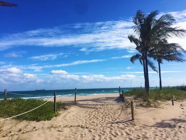 a view of a lake with a beach