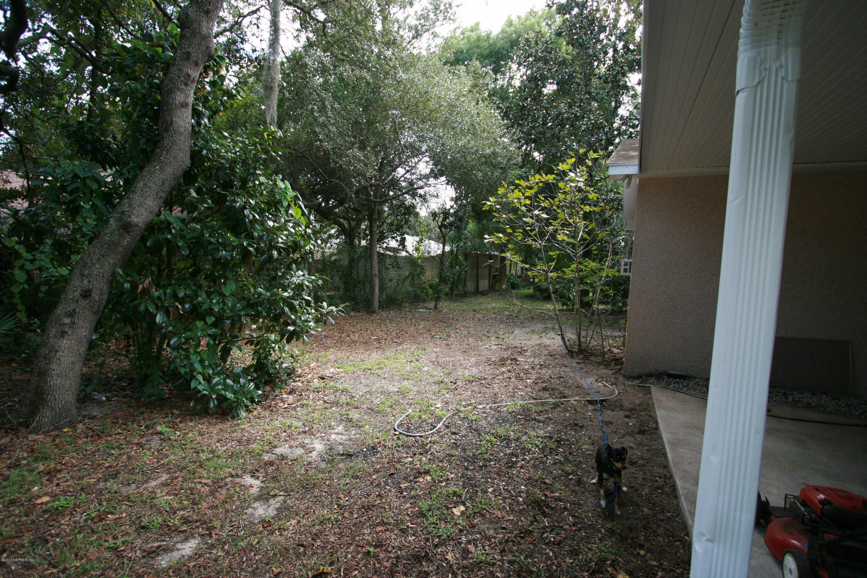 523 Gentian Road St. Augustine, FL 32086 - Photo 5 of 26 a view of a yard with plants and large trees