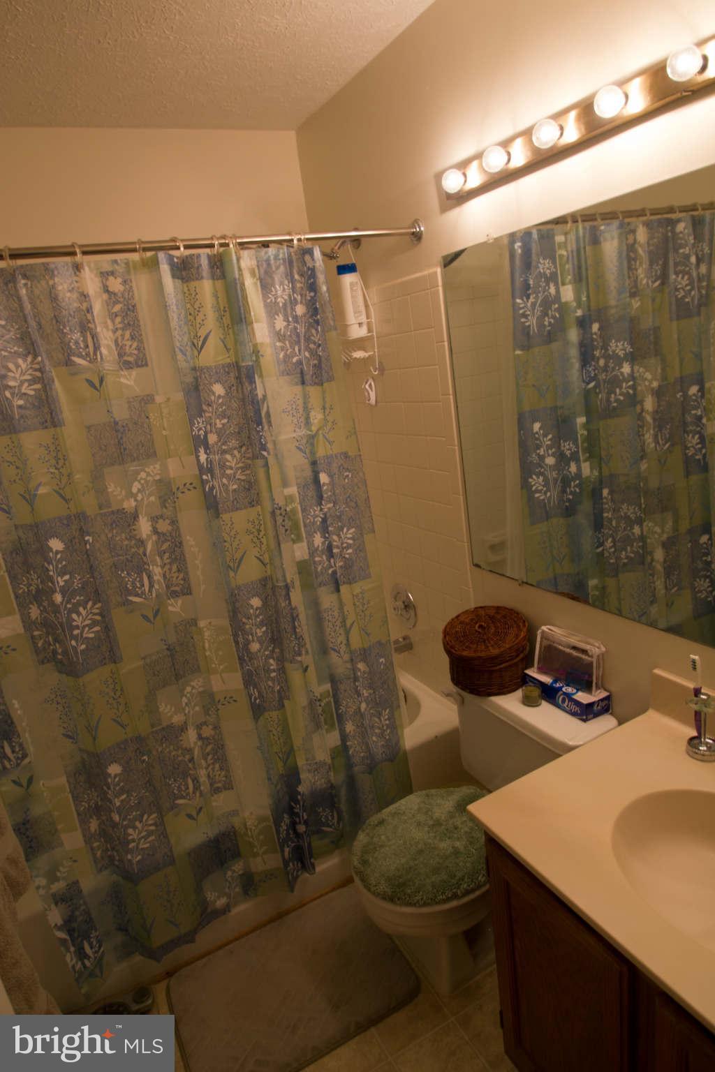 7367 Stream Way Springfield, VA 22152 - Photo 4 of 12 Bath (Master)