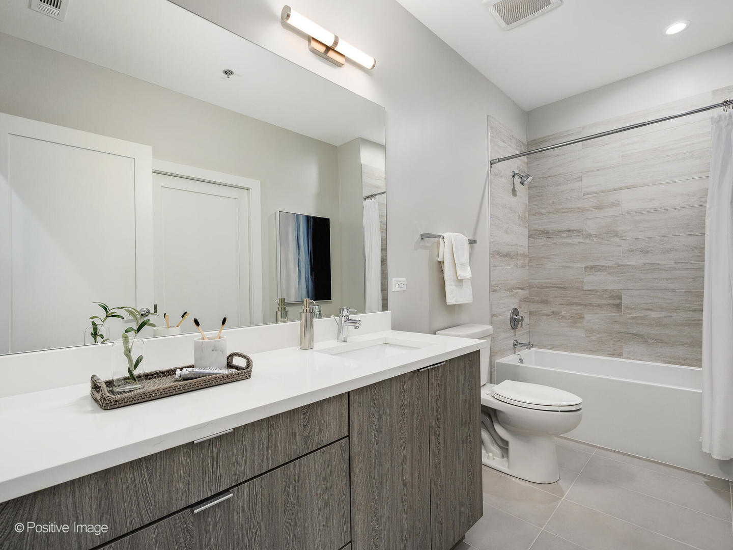 1802 South State Street, Unit 103 Chicago, IL 60616 - Photo 19 of 23