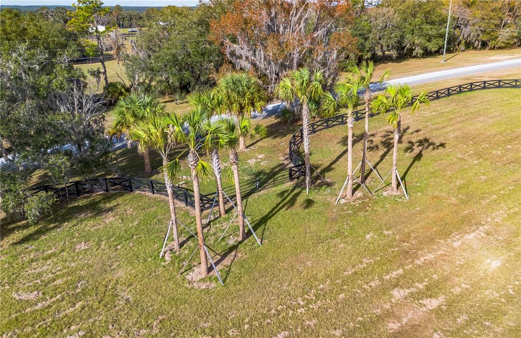 329 Reddick Reddick, FL 32686 - Photo 14 of 41