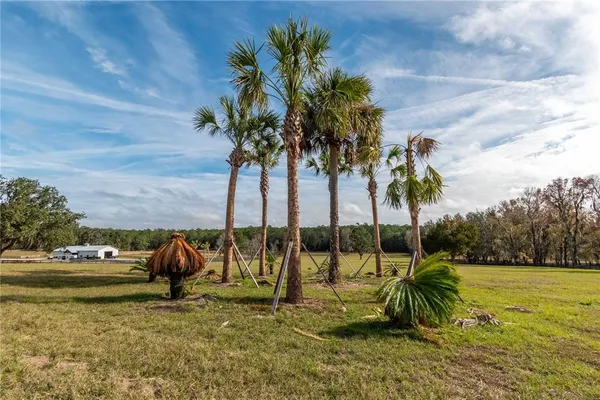 $525,000 | 329 Reddick, Reddick, FL 32686
