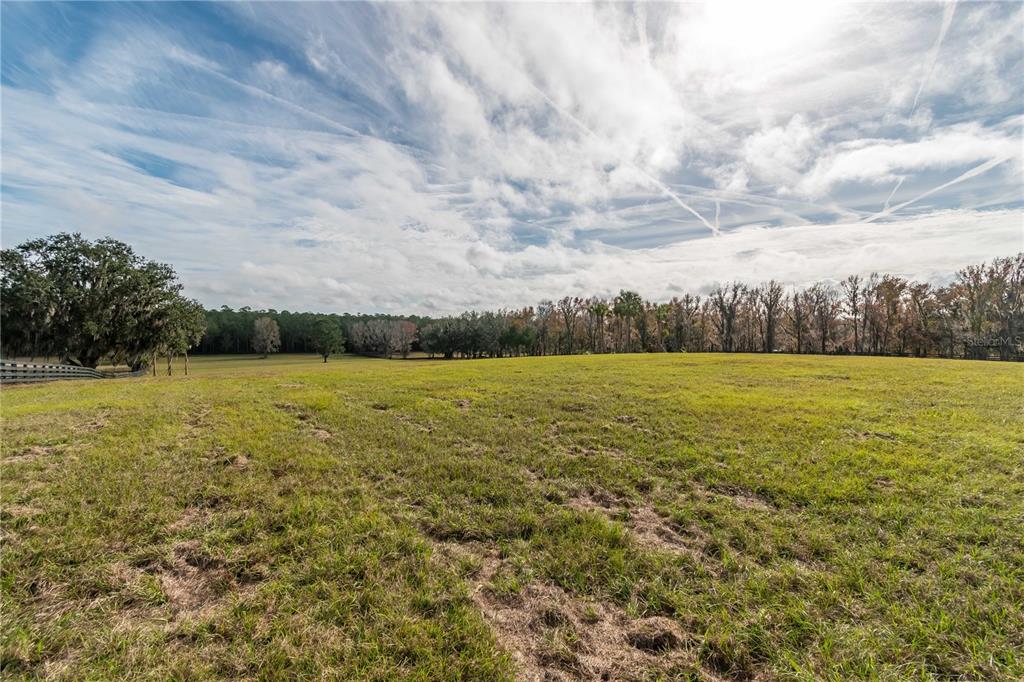 329 Reddick Reddick, FL 32686 - Photo 37 of 41