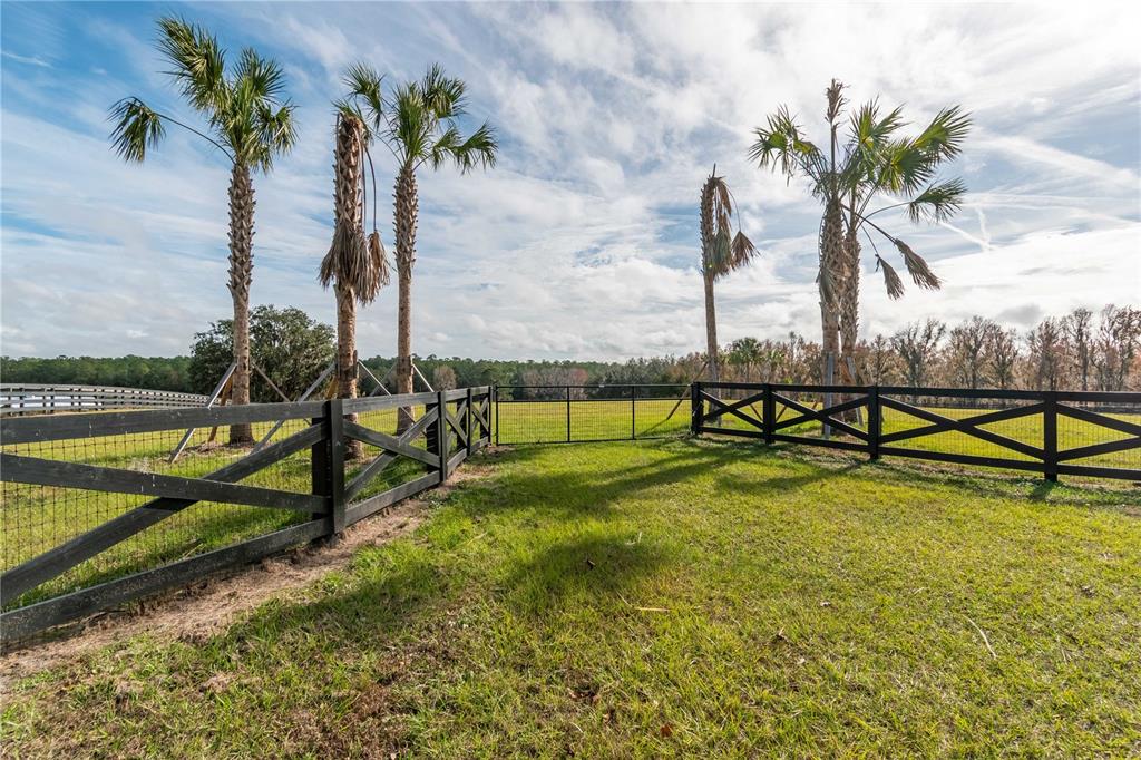 329 Reddick Reddick, FL 32686 - Photo 38 of 41