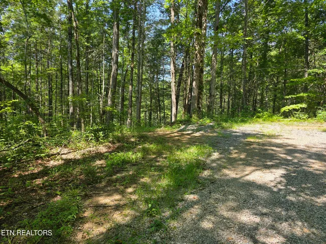 $69,900 | Waters End Road, Walland, TN 37886