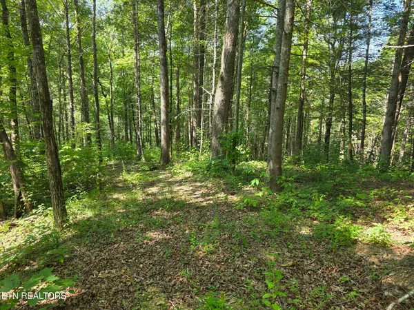 $69,900 | Waters End Road, Walland, TN 37886