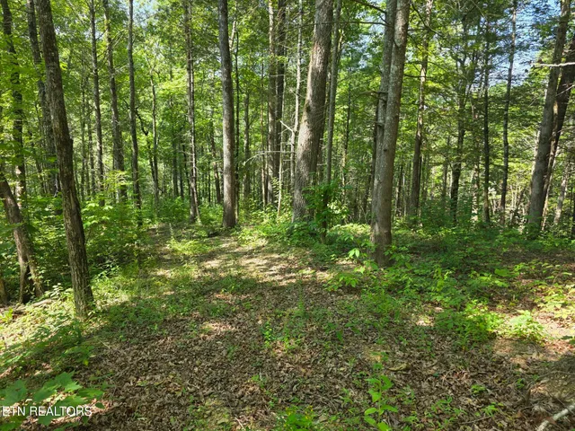 $69,900 | Waters End Road, Walland, TN 37886