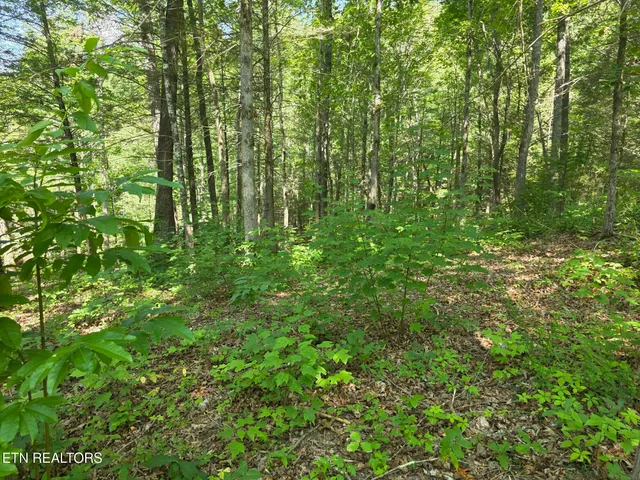 $69,900 | Waters End Road, Walland, TN 37886