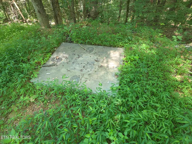 $69,900 | Waters End Road, Walland, TN 37886