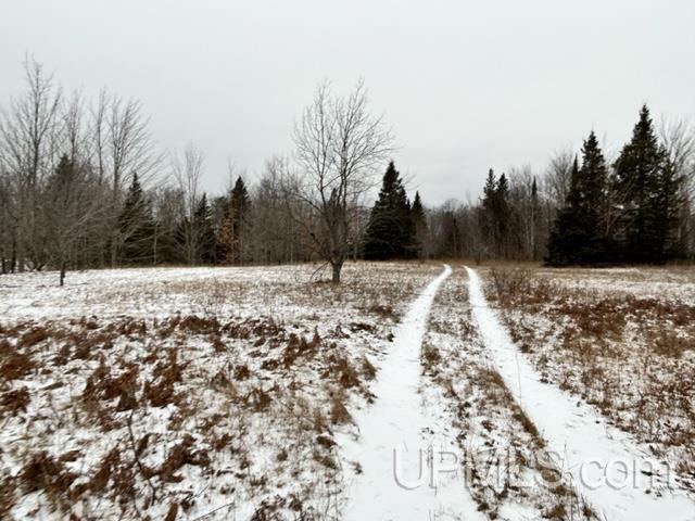 Tbd5 Larson Road Atlantic Mine, MI 49905 - Photo 16 of 56 Gallery Image 16
