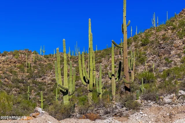 a view of a building