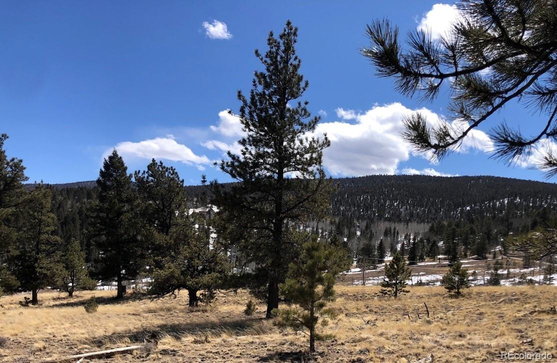 625 Singletree Road Hartsel, CO 80449 - Photo 7 of 21 a view of a backyard of the house