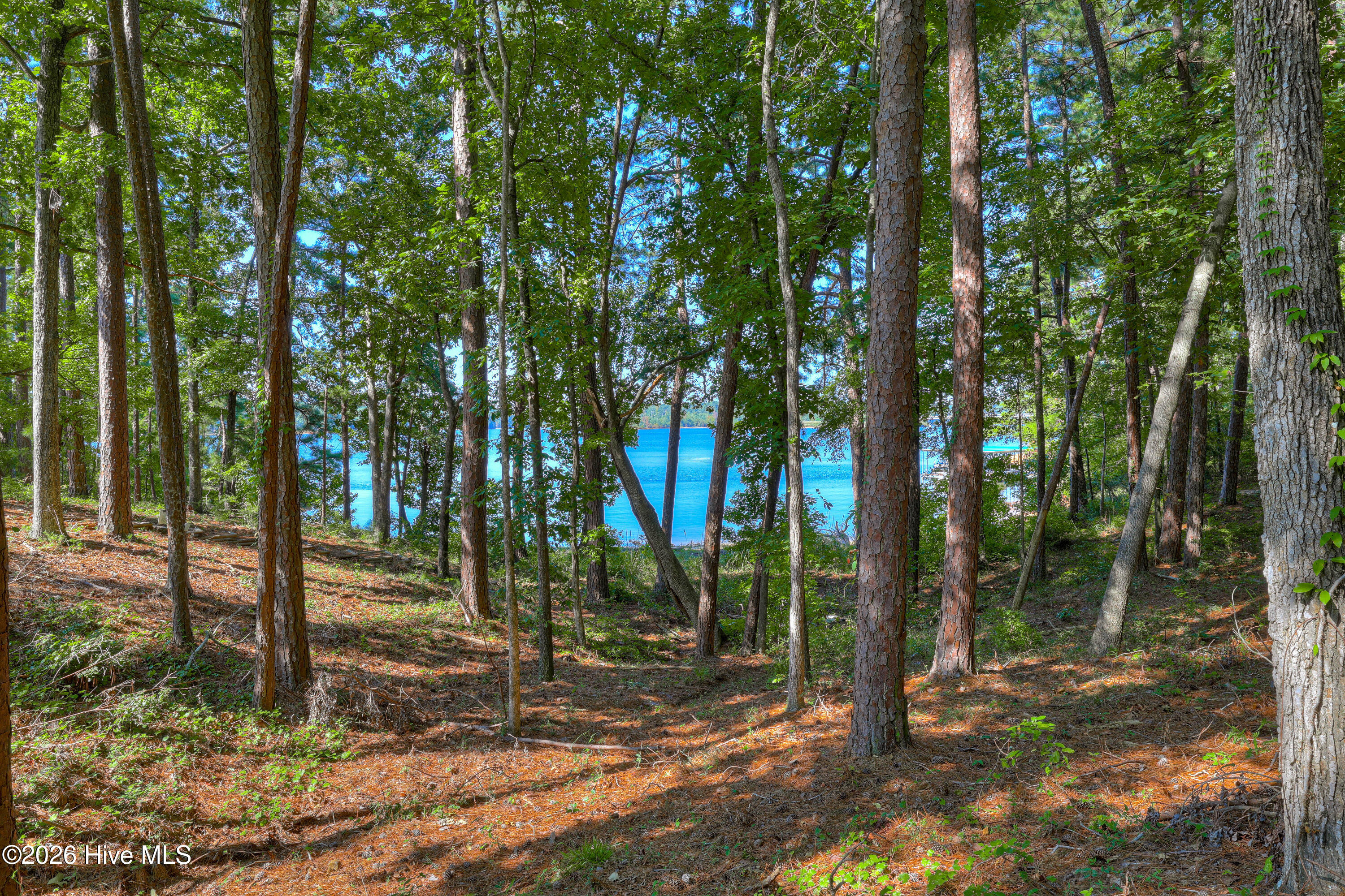 202 Deer Run Lane McCormick, SC 29835 - Photo 66 of 80