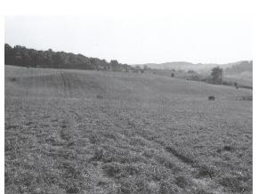 0 John France Road Jonesborough, TN 37659 - Photo 1 of 1 Photo 1