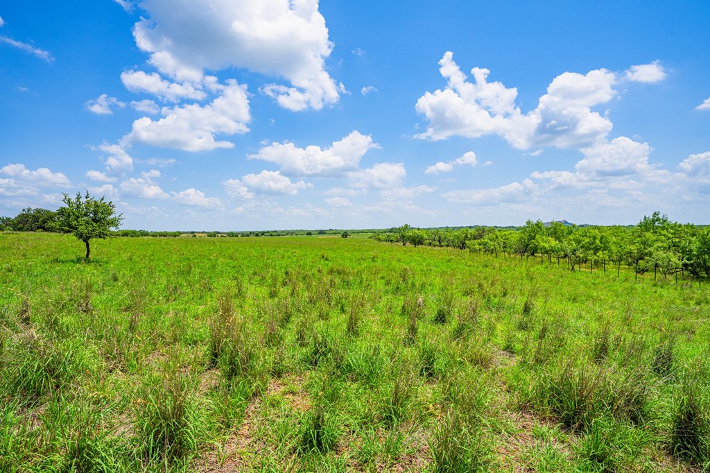 7602 County Road 113 Llano, TX 78643 - Photo 55 of 69