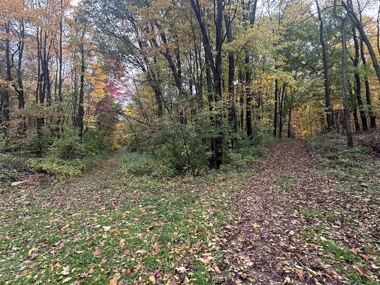4680 Fitzpatrick Road Jonesville, MI 49250 - Photo 58 of 79