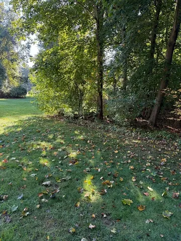 a big yard with lots of green space and deers