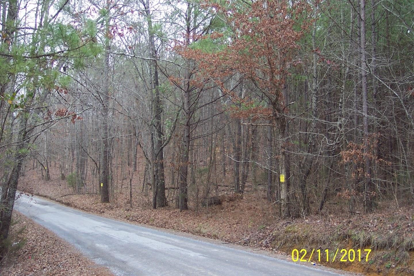 687 Redman Lane Decatur, TN 37322 - Photo 4 of 8 Gallery Image 4