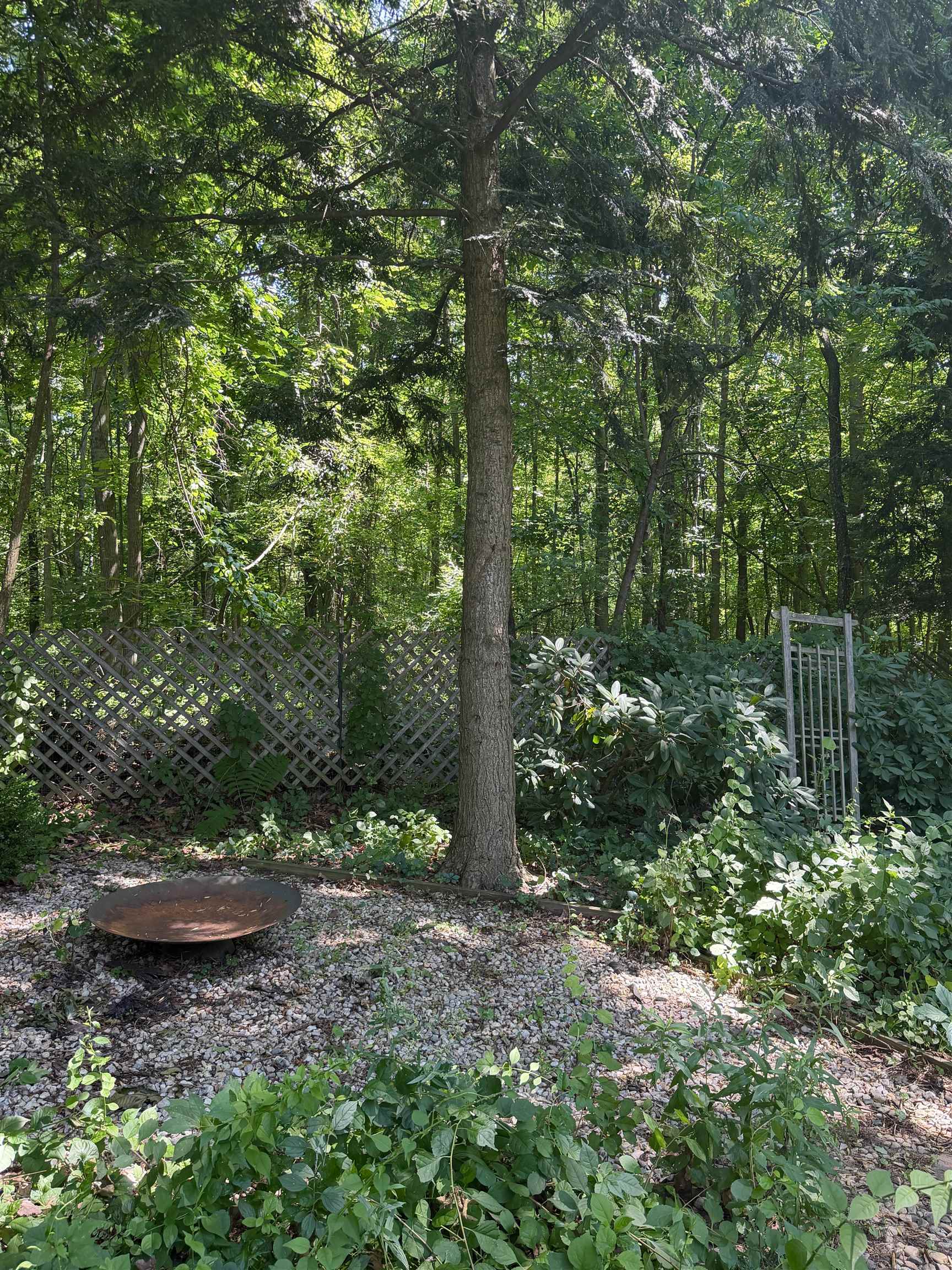 54 Muirfield Road Burlington, VT 05408 - Photo 46 of 60 Gallery Image 46