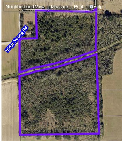0 Eldrige Young Road Church Point, LA 70525 - Photo 11 of 11 Gallery Image 11