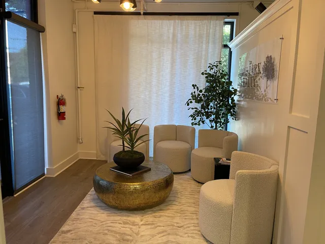 a living room with furniture and a potted plant