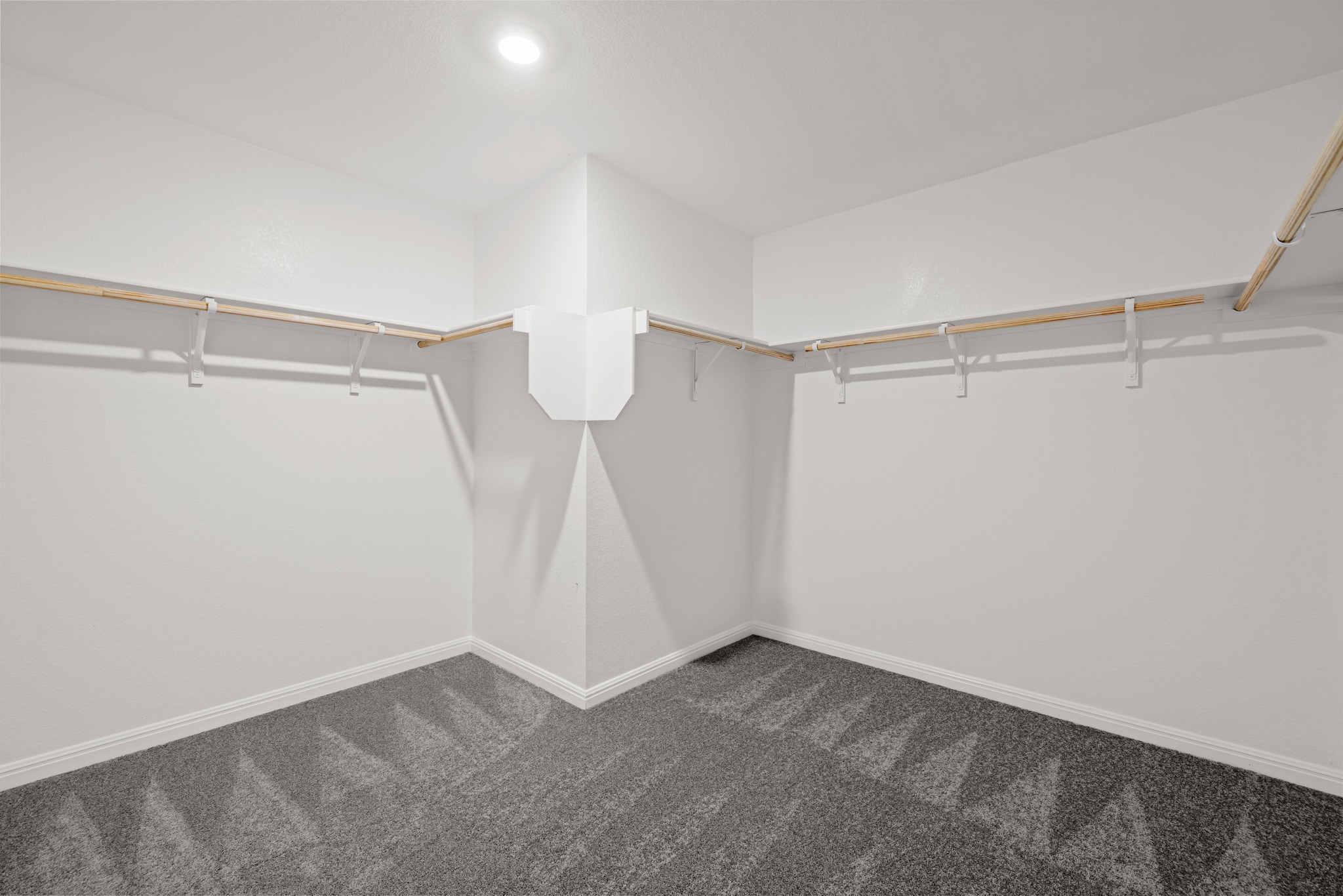 241 Night Riders Way Jarrell, TX 76537 - Photo 20 of 39 Walk in closet with dark carpet