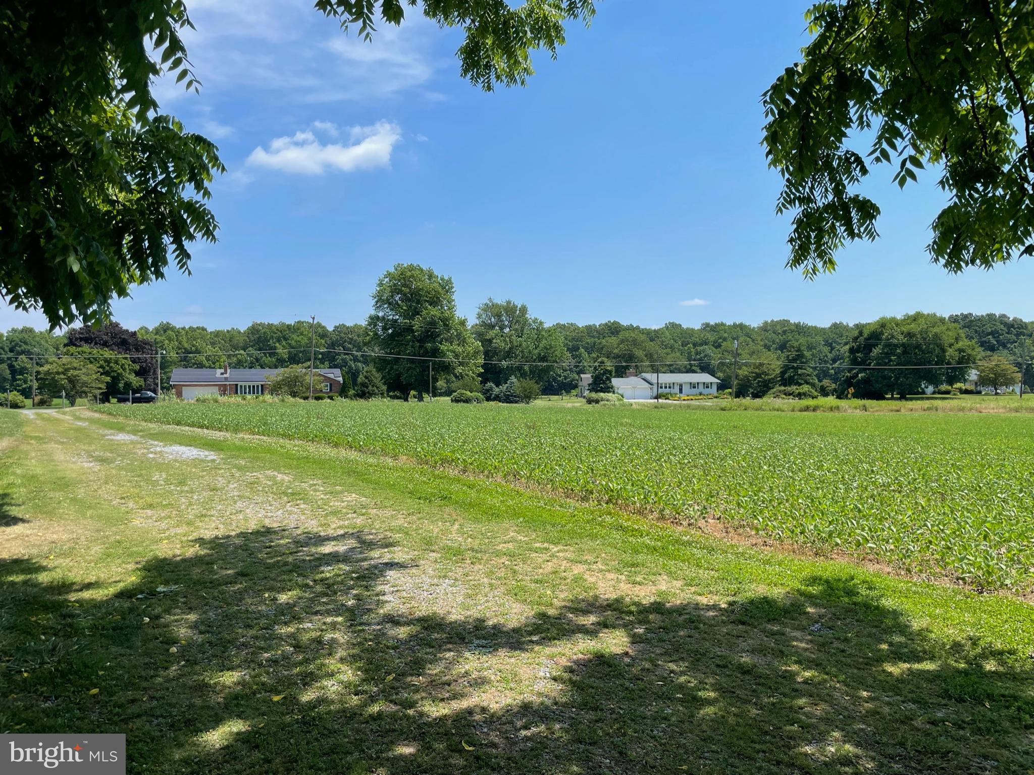 457 Fort Elfsborg Road Salem, NJ 08079 - Photo 5 of 19