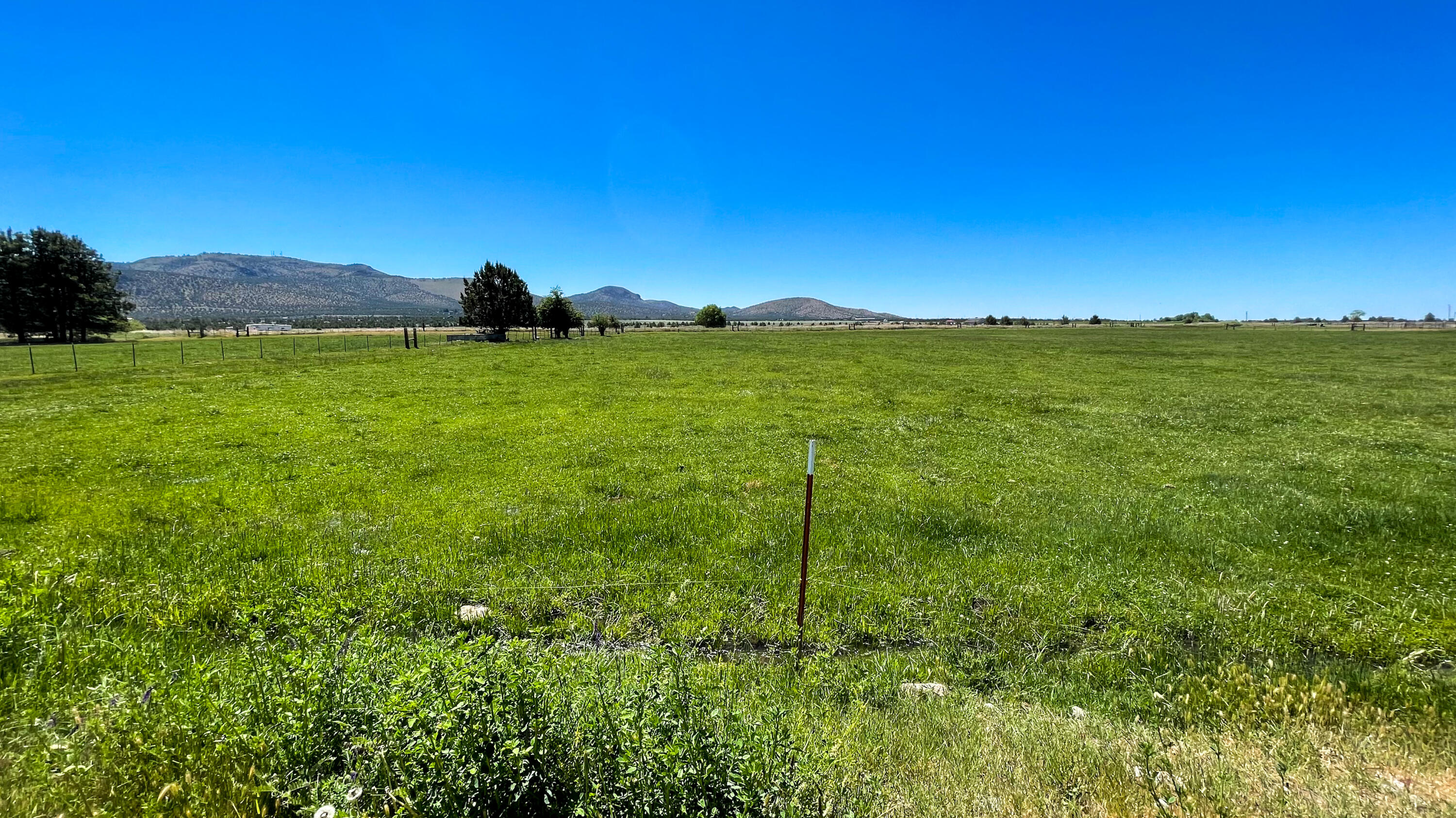 14212 Southwest Riggs Road Powell Butte, OR 97753 - Photo 19 of 48 flood irrigated pasture. Leased to person for pasture through 2024 season.