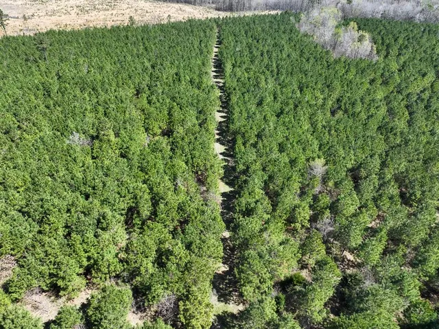 a view of a street with a building in the background