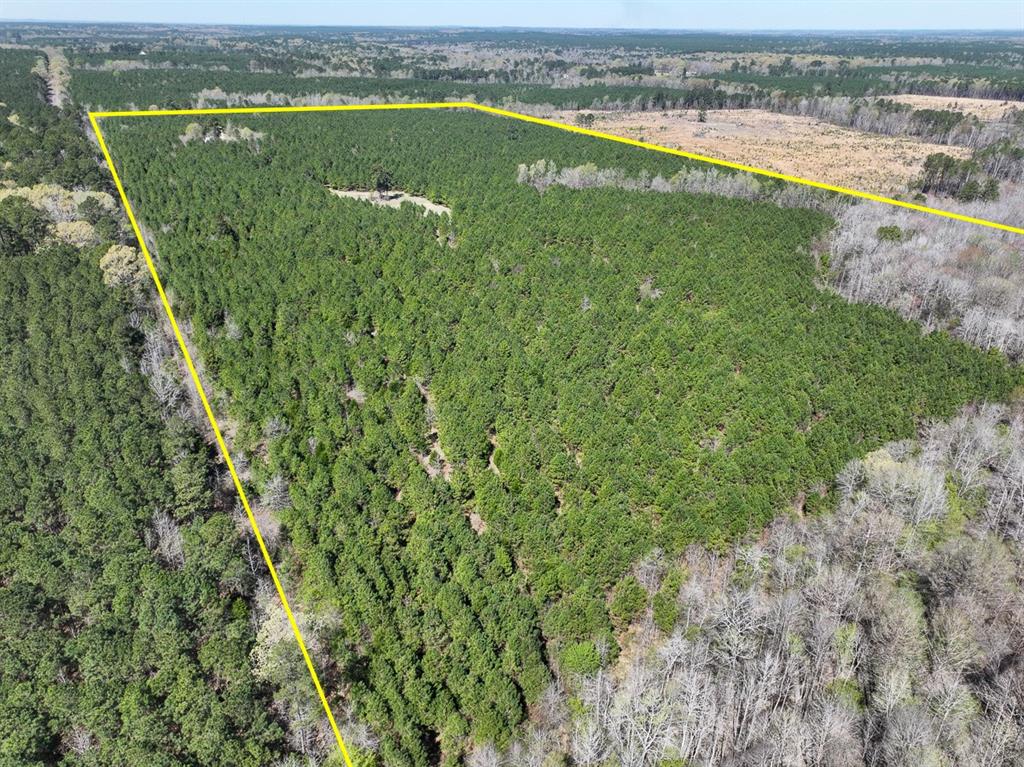 14 United Gas Road 1 Rodessa, LA 71069 - Photo 2 of 19 a view of a city with a lake view