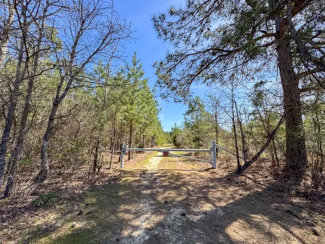 a view of lake view with large trees