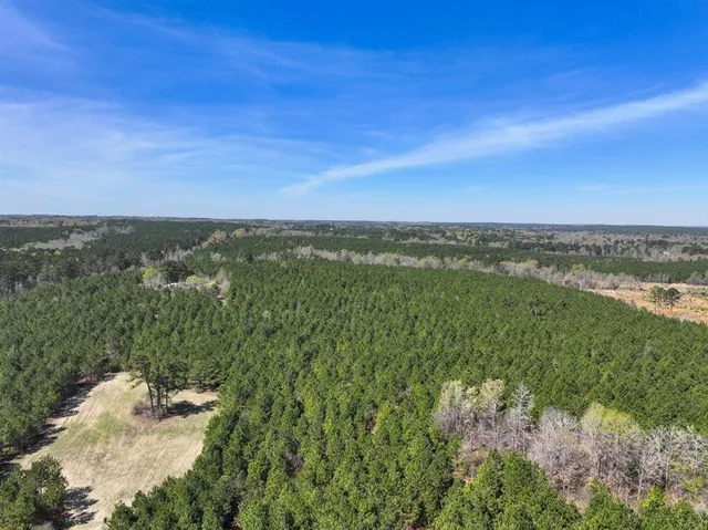 a view of a lake with a city