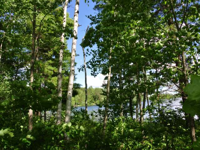 Lot 4 Little Bearskin Road Harshaw, WI 54529 - Photo 19 of 19 Gallery Image 19