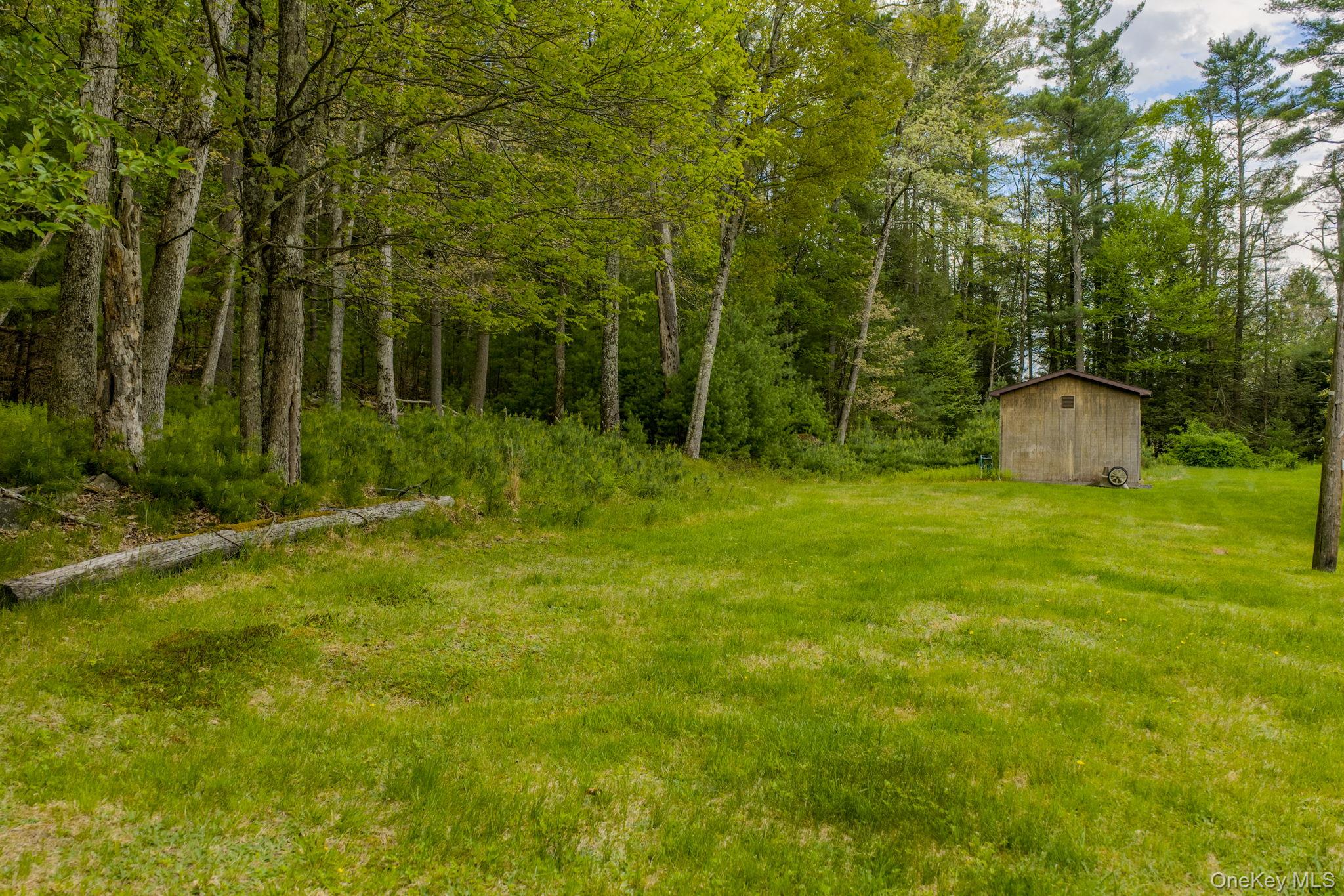 205 Airport Road Yulan, NY 12792 - Photo 18 of 20